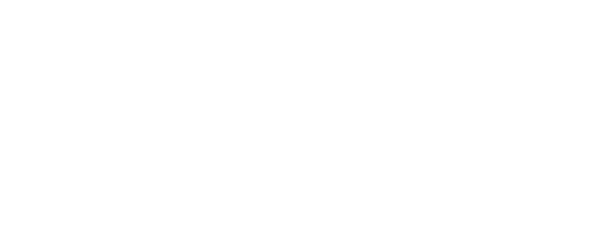 logo LSO-Consiel